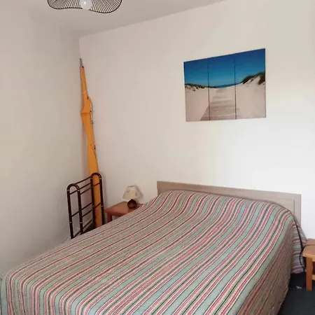 Confortable A Sur 40 M² + Terrasse Apartment